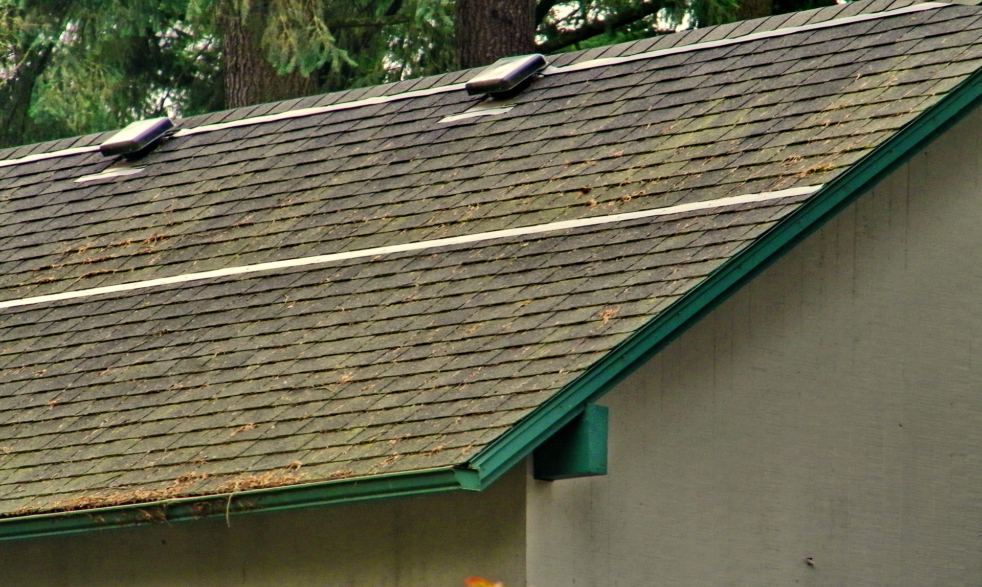 Roof Cleaning American Roof Brite Richmond VA Lifetime Warranty