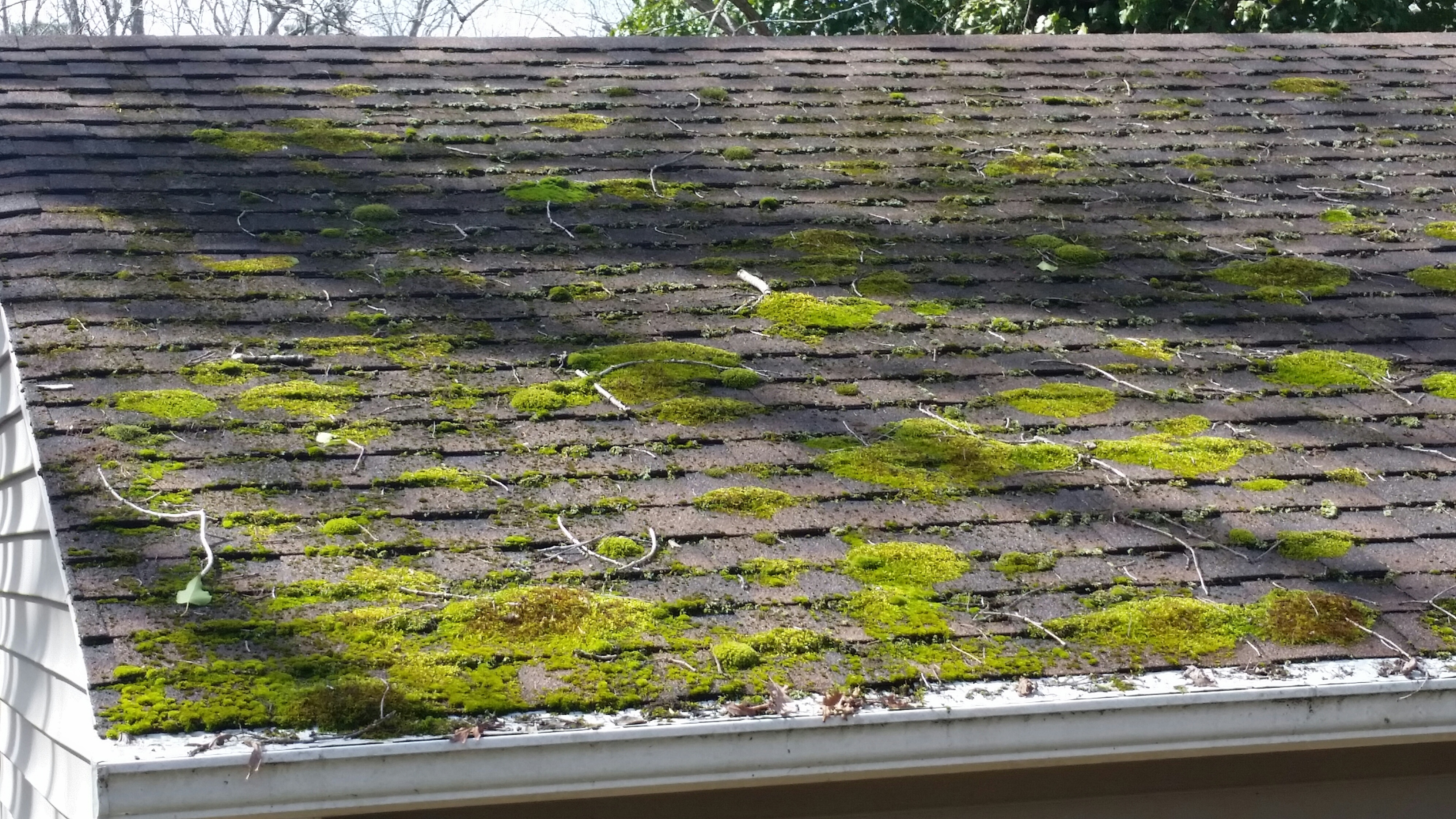 How To Remove Roof Moss